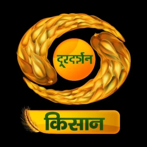DD Kashir