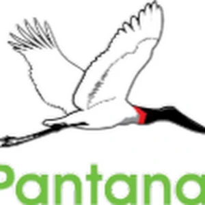 TV Pantanal MS