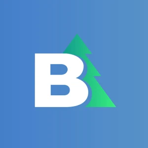 RTV Bor