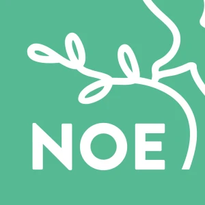 Televize Noe