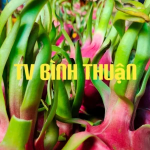 Binh Thuan TV
