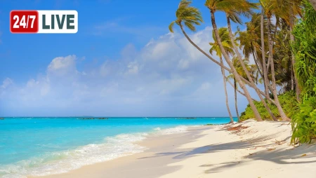 Relaxing Ocean Waves at a Maldivian Beach