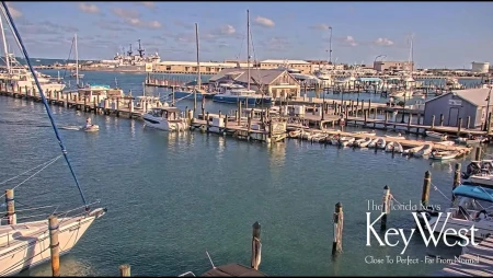Key West Bight Marina Live , Florida Keys