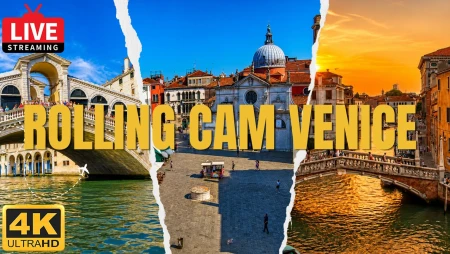 Venice Live : Canals and Landmarks