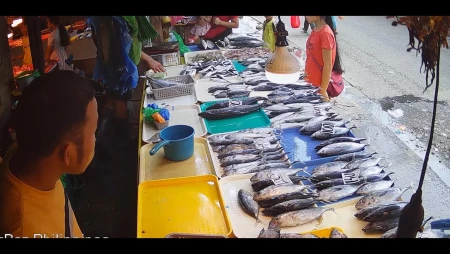 Live Camera at Bankerohan Fish Market in Davao City