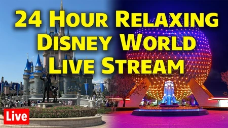 Walt Disney World Relaxing Stroll